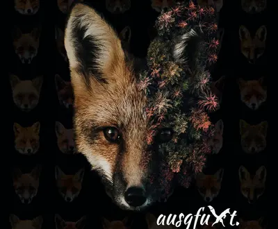 Ausgfuxt