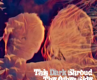This Dark Shroud