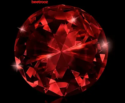 beetrooz