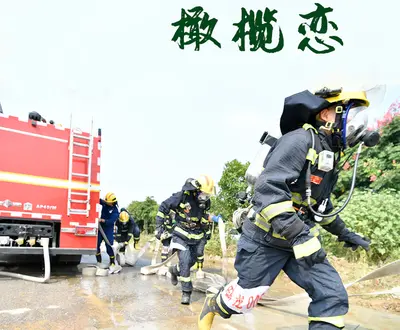 岳鹏