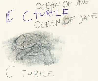 C Turtle