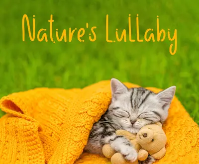 Natura Rilassante Suoni Collezione