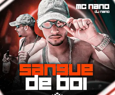 Mestre nano