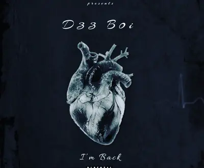 D33 B0i