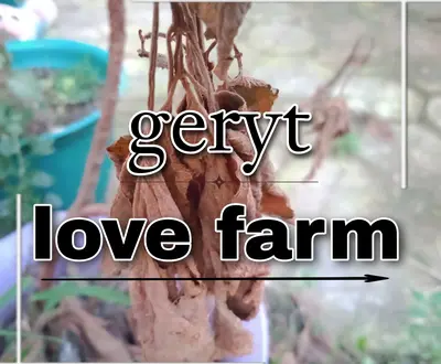 geryt