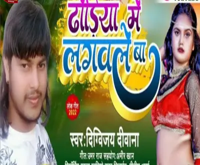 Digvijay Deewana