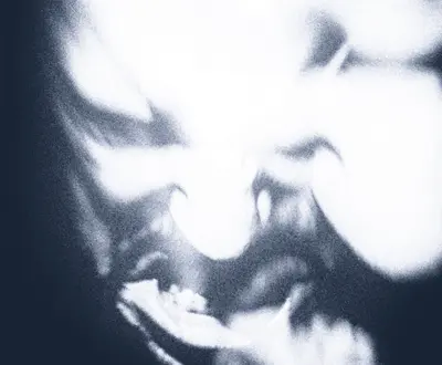 ABSOLUTUM