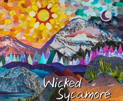 Wicked Sycamore