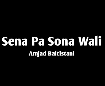 Amjad Baltistani