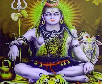 Shashi Surila