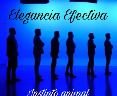 Elegancia Efectiva