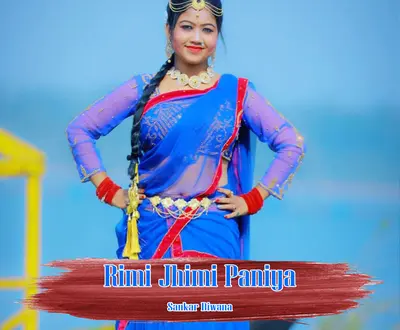Sankar Diwana