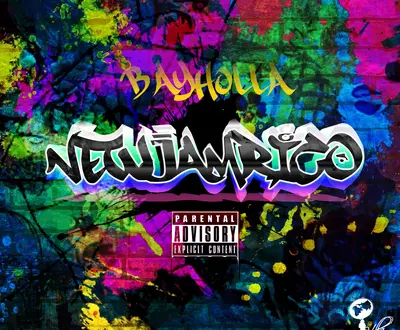Bayholla