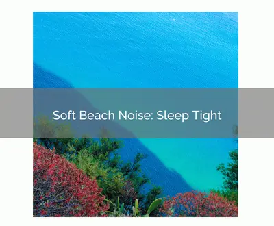 Calming Waves Consort