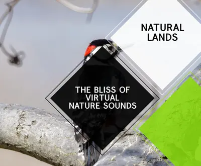 Useful Nature Music Player