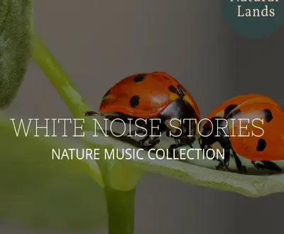 Pure Lotus Healing Nature Music