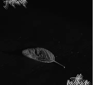 NXTHXN