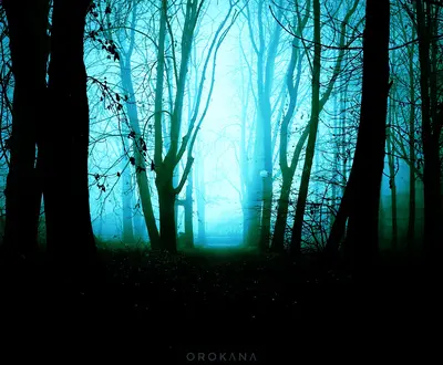 OROKΛNΛ