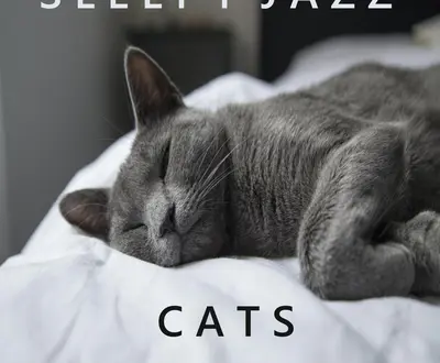 Cool Vibes Jazz