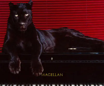 magellan