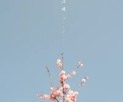 헤이달리 (Hey Dali)