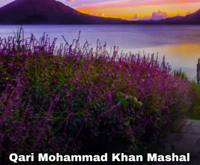 Qari Mohammad Khan Mashal