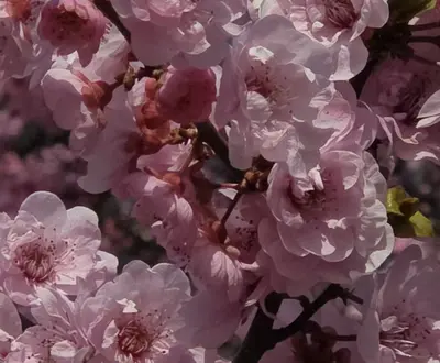 爱你131