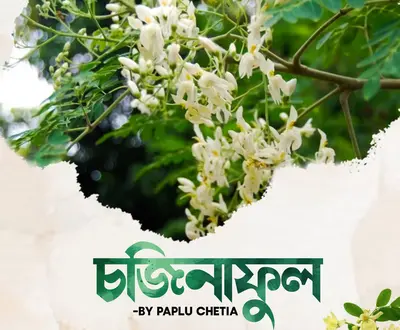 Paplu Chetia