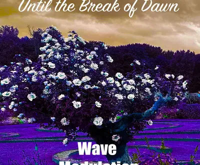 Wave Modulation