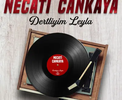 Necati Çankaya