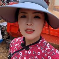 秋香演员头像