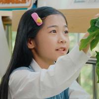 王金珝兮演员头像
